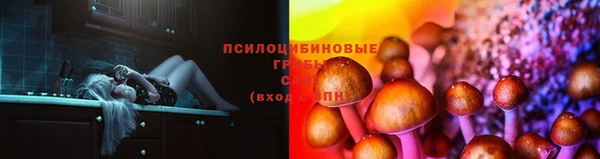 гашик Алзамай