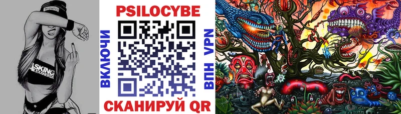 darknet состав Лодейное Поле Галлюциногенные грибы Magic Shrooms