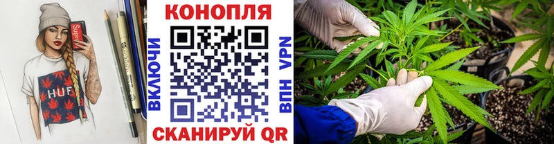 Канабис семена MEGA маркетплейс Лодейное Поле купить наркотики сайты